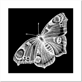 Dramabite Vintage butterfly illustration Posters and Art